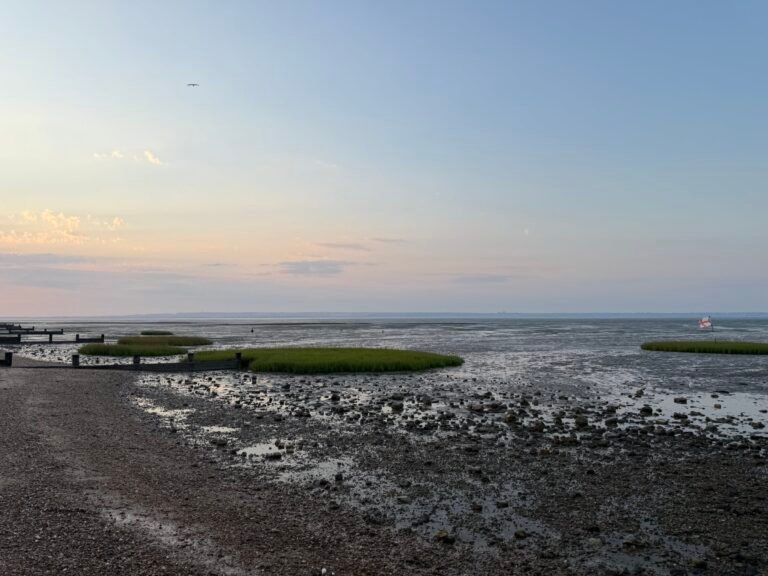 Allhallows – Looking out at Foreshore