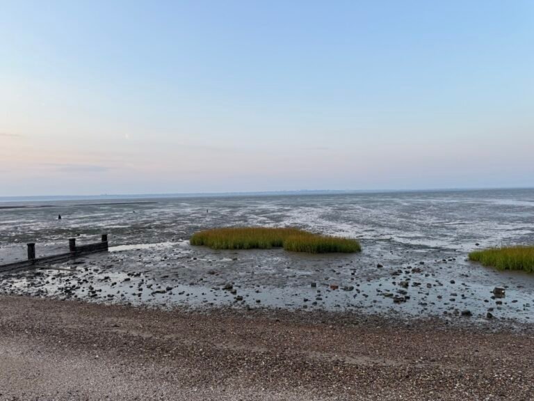 Allhallows – Looking out at Foreshore