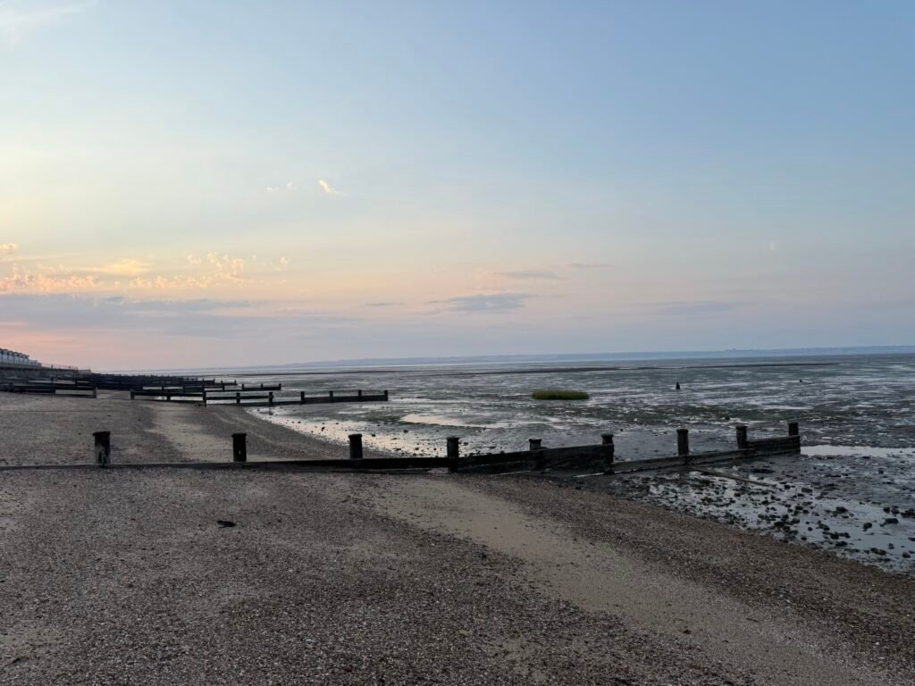View of Bays with tide out