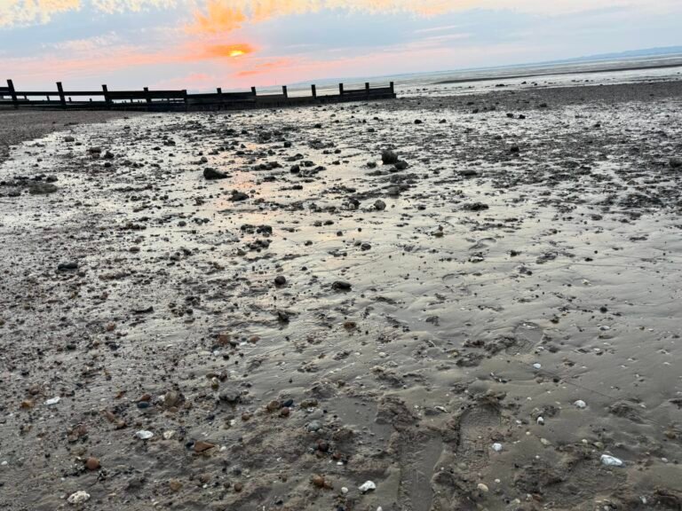 Allhallows – Foreshore