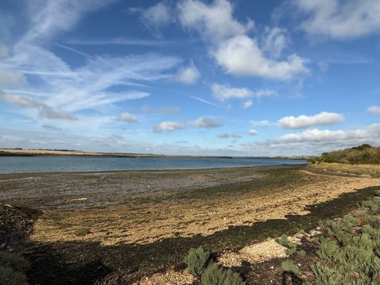 Bay 2