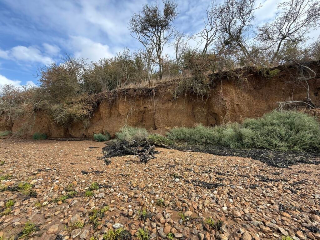Cliff View